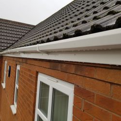 Our fascia and soffit cleaning service focuses on restoring the finishing touches of your building by eliminating dirt, moss, and other unsightly substances. With our meticulous attention to detail, we will ensure that your fascias and soffits regain their original beauty, enhancing the curb appeal.